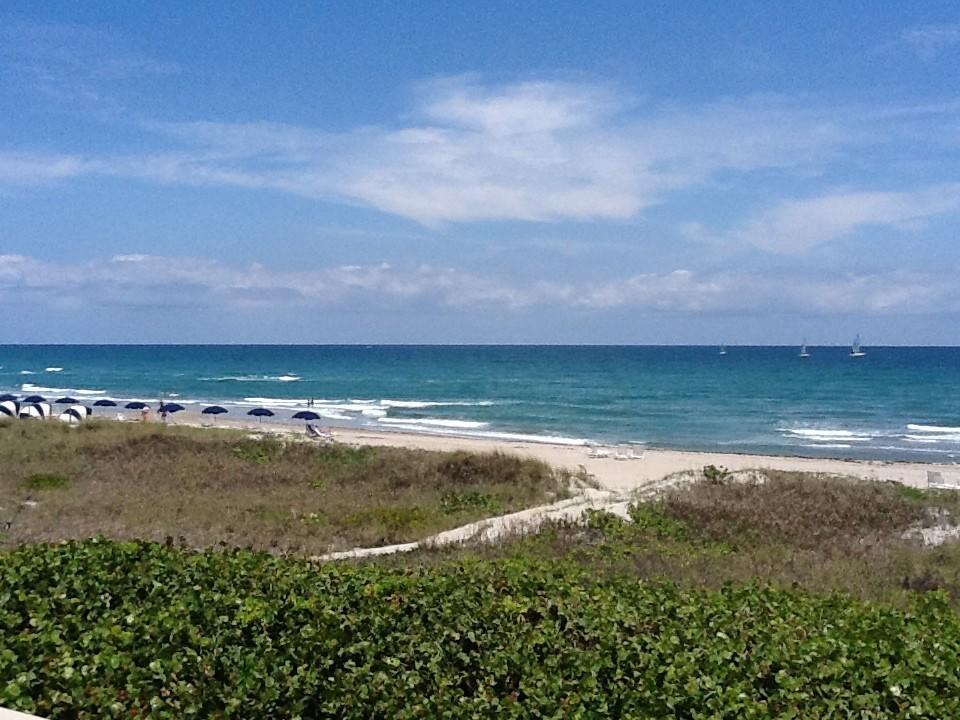 The Grove Condominium Delray Beach Rom bilde